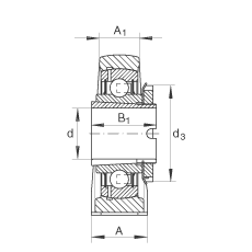 直立式軸承座單元 RASEA40-N, 鑄鐵軸承座，帶緊定套的外球面球軸承，R 型密封