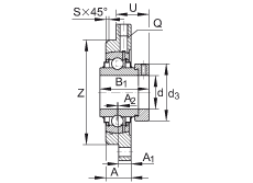 軸承座單元 RMEO100, 帶四個螺栓孔的法蘭的軸承座單元，鑄鐵，定心凸出物，偏心鎖圈，系列 63，R密封
