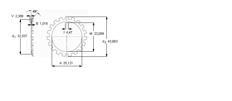 SKF W鎖緊墊圈, 英制尺寸W05樣本圖片