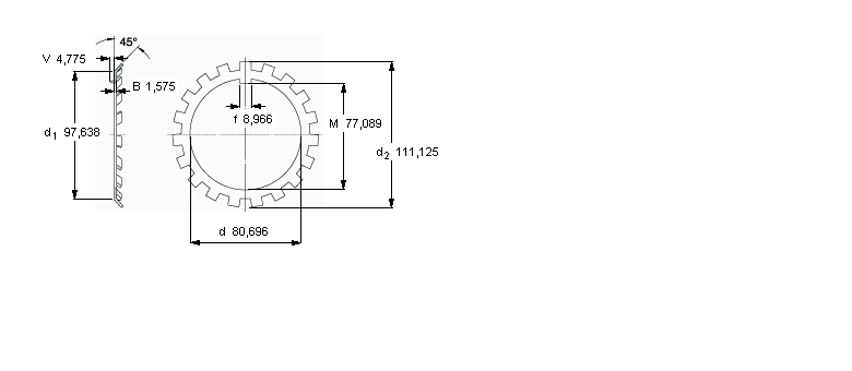SKF W鎖緊墊圈, 英制尺寸W16樣本圖片