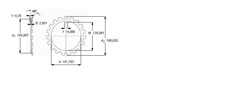 SKF W鎖緊墊圈, 英制尺寸W28樣本圖片